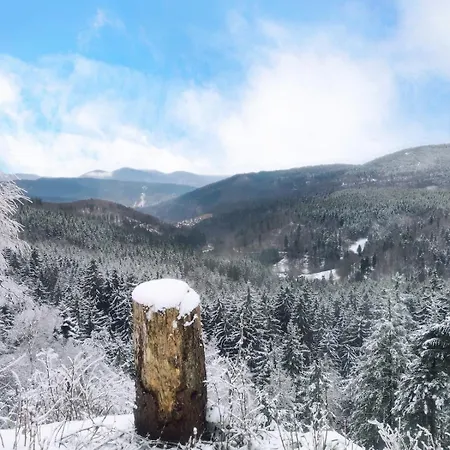 Merkurpanorama דירה