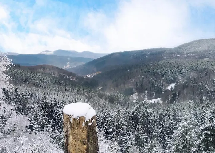 Merkurpanorama Appartement